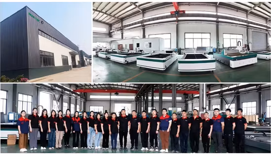 6kw /8kw /10kw /12kw Ipg /Raycus Power Max Fiber Laser Cutter Equipments CNC Metal Fiber Laser Cutting Machine for Agriculture Machinery Aerospace Industry